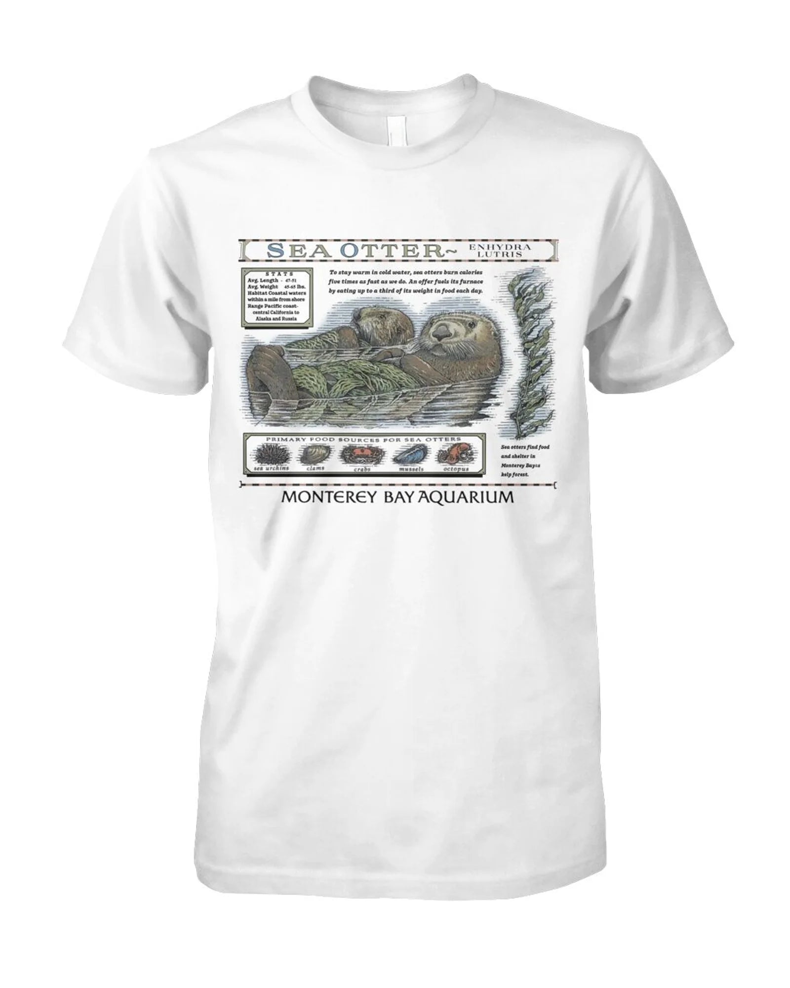 Taylor Swift Monterey Bay Aquarium Shirt