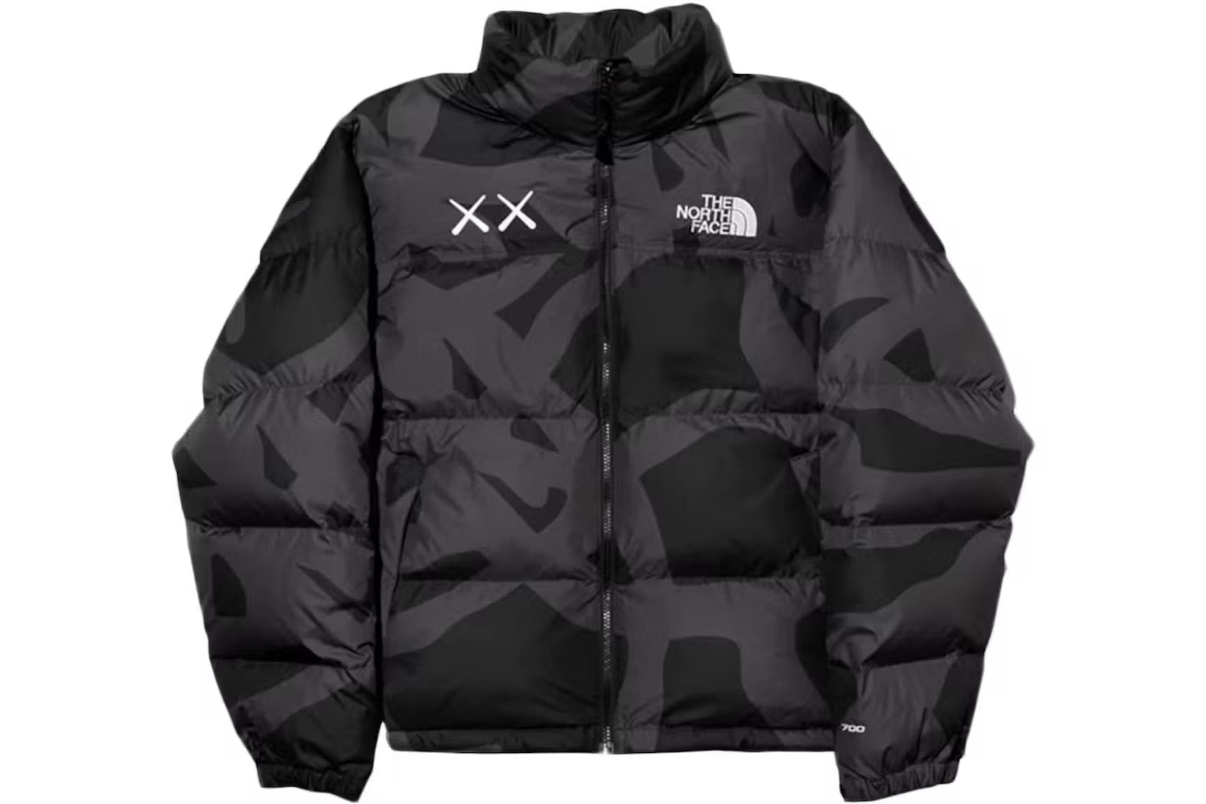 Kaws North Face Jacket