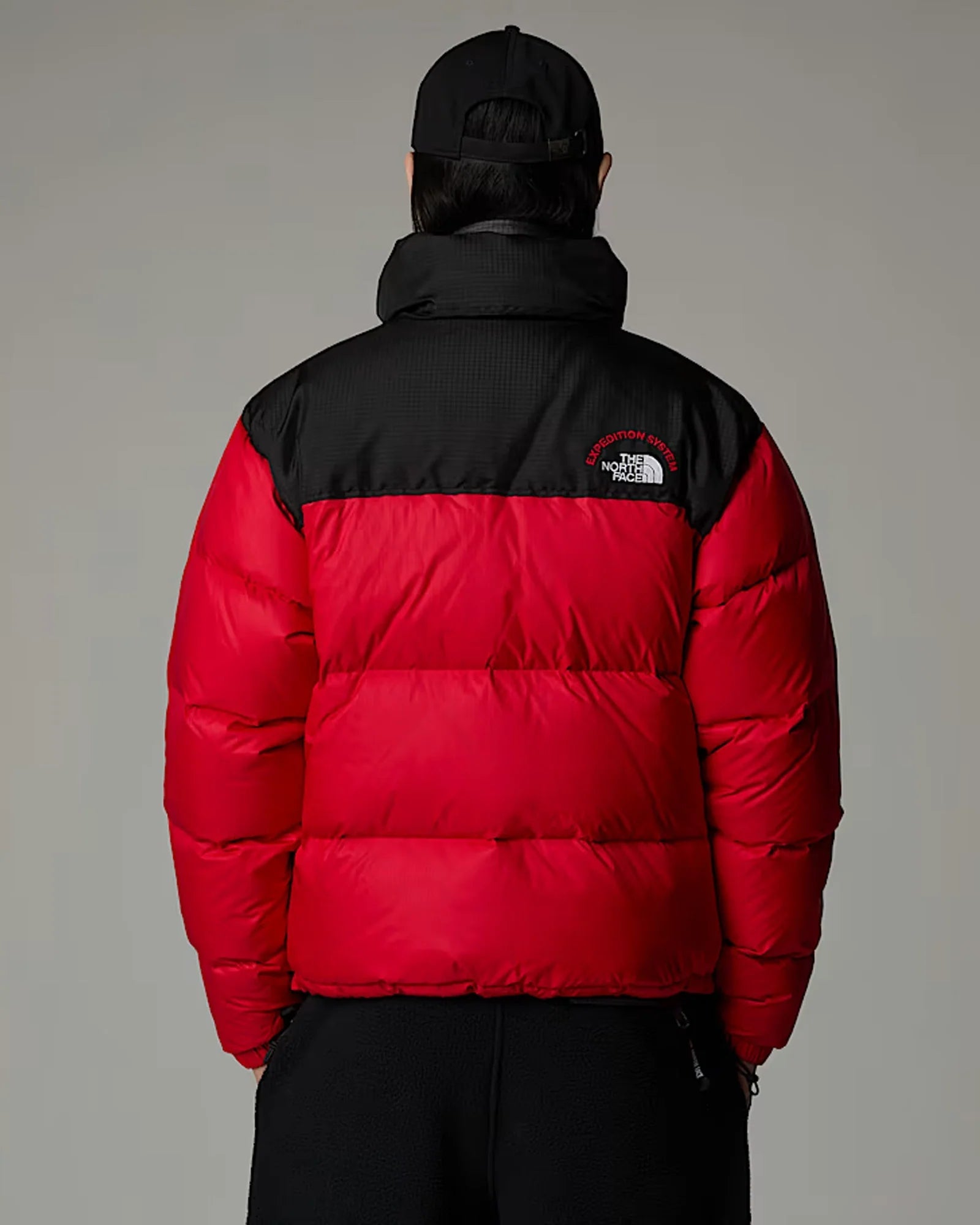 North-Face-Nuptse-700-Puffer-Jacket-Back
