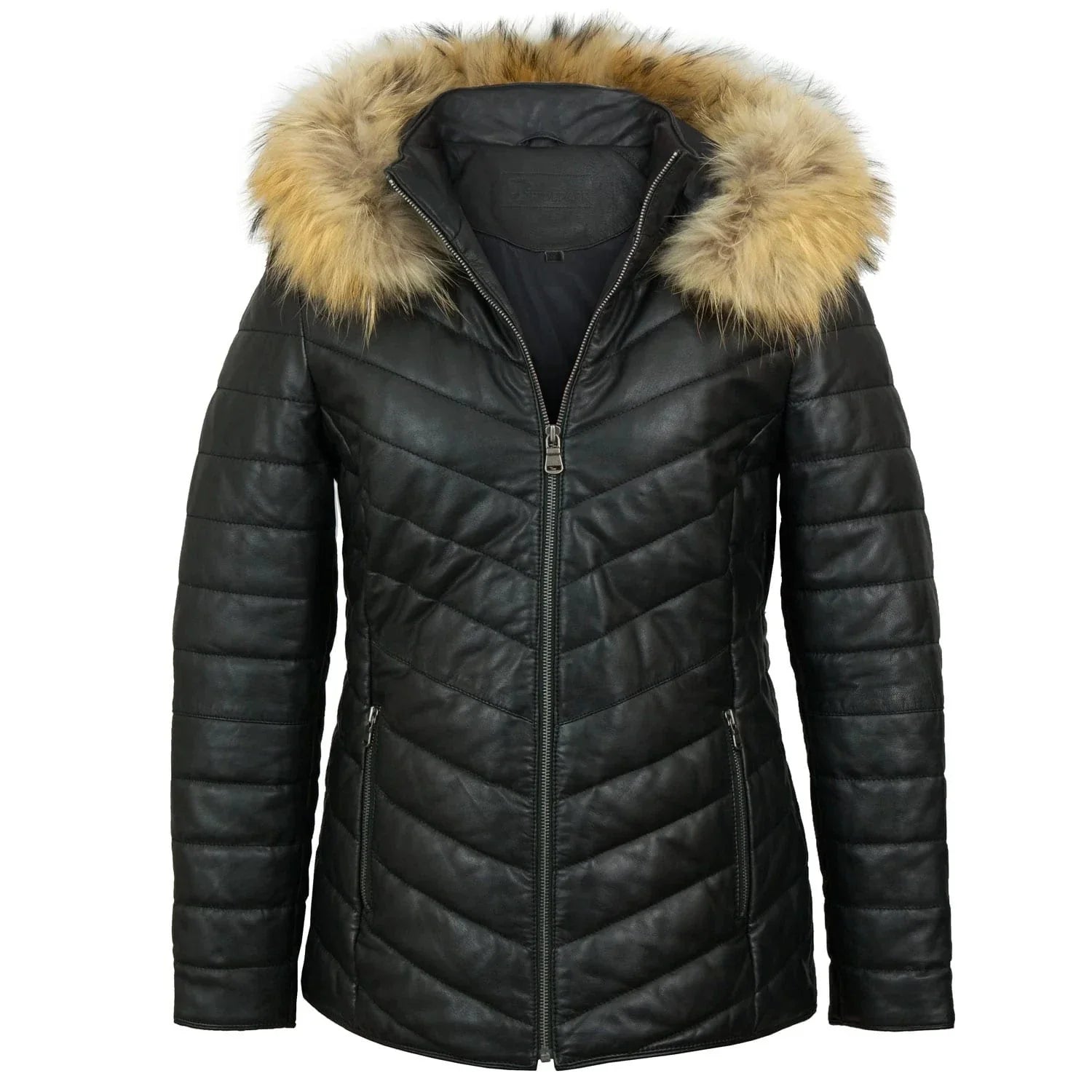 Light Weight Puffer Jacket, Padded Coat Zing Apparel
