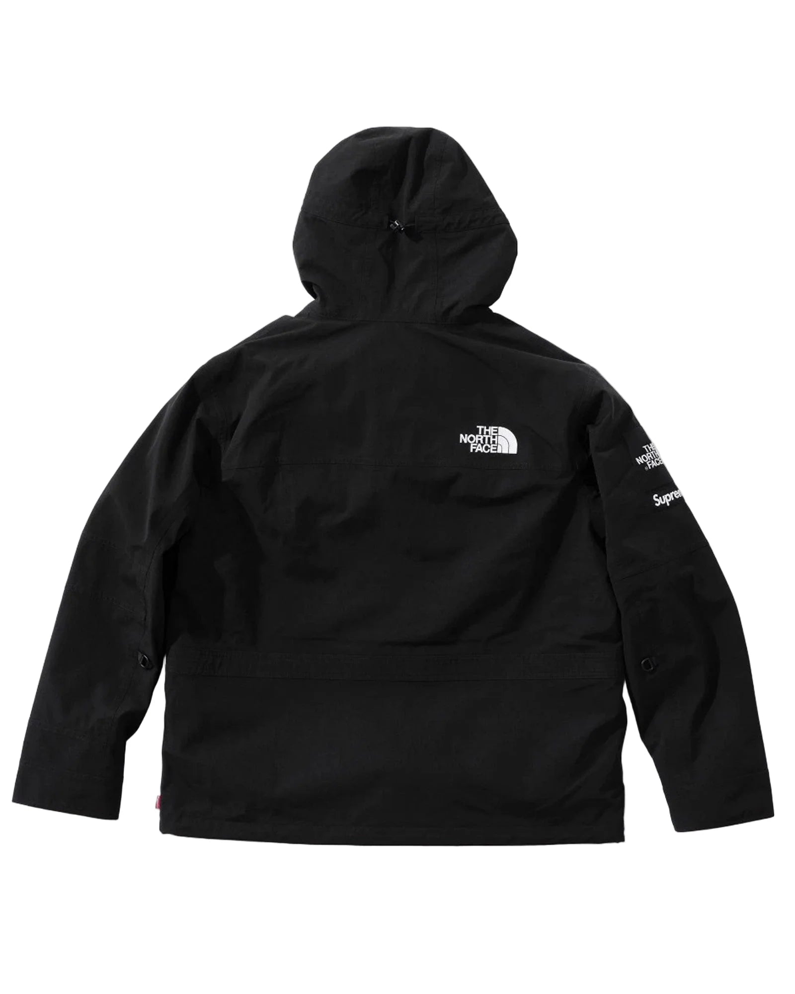 Supreme-X-North-Face-Gore-Tex-Jacket-Back