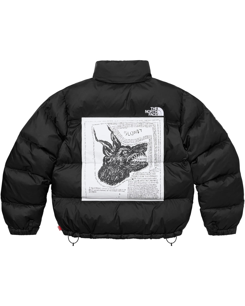 Supreme North Face Jacket Black
