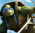 Teenage Mutant Ninja Turtles Costume