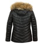 Light Weight Puffer Jacket, Padded Coat Zing Apparel