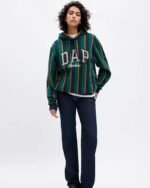 GAP-X-DAP-Logo-Hoodie-MultiColor