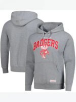 Grey Wisconsin Badgers Hoodie - Image 2