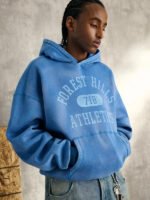 Hollister-Boxy-Forest-Hills-Graphic-Hoodie-Back