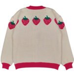 Shop_Chowder_Sweater_Stawbarry