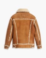 Stylish Levi’s Shearling Trucker Jacket outfit